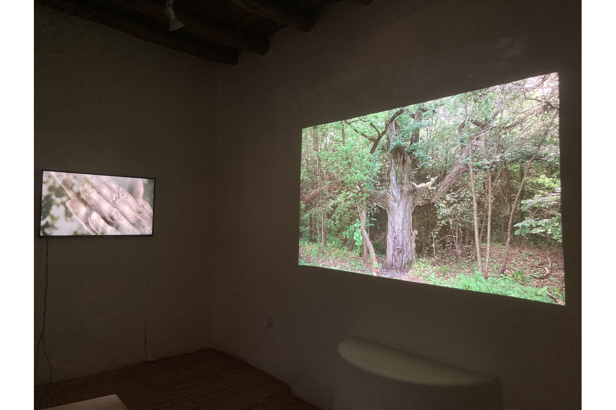 Two works in Video installation for 